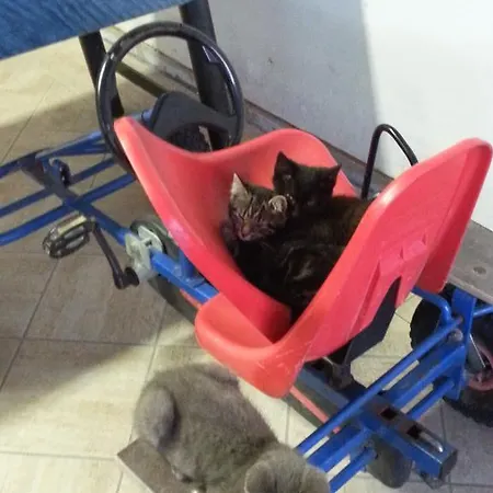 Haus Oberstocker * 蓬高圣约翰