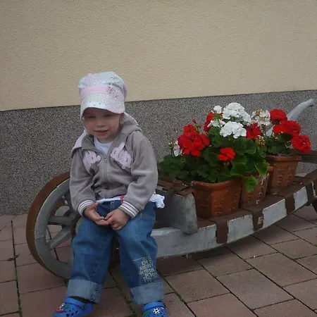 Haus Oberstocker ザンクト・ヨーハン・イム・ポンガウ