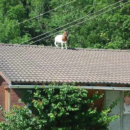 Haus Oberstocker 아파트