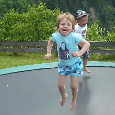 Haus Oberstocker 公寓 *