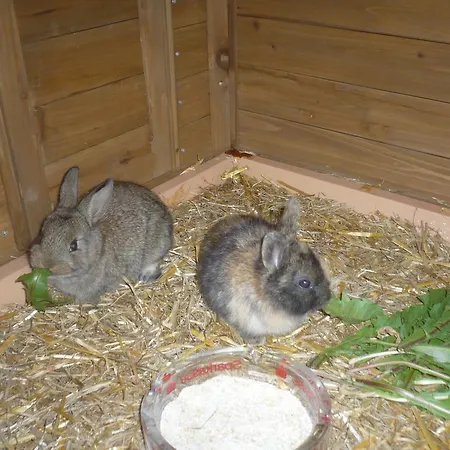 아파트 Haus Oberstocker 상트조한임퐁가우